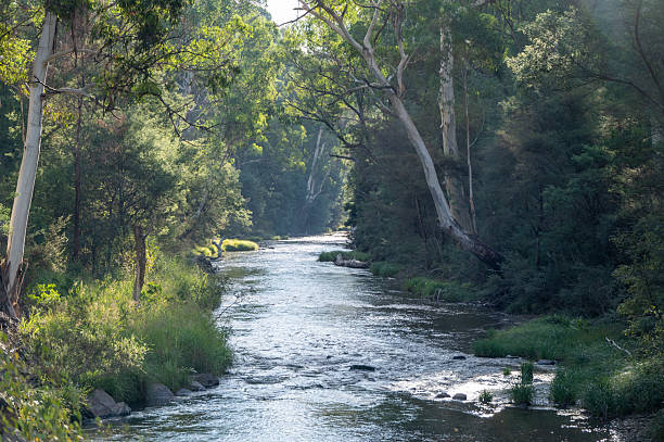 Goulburn
