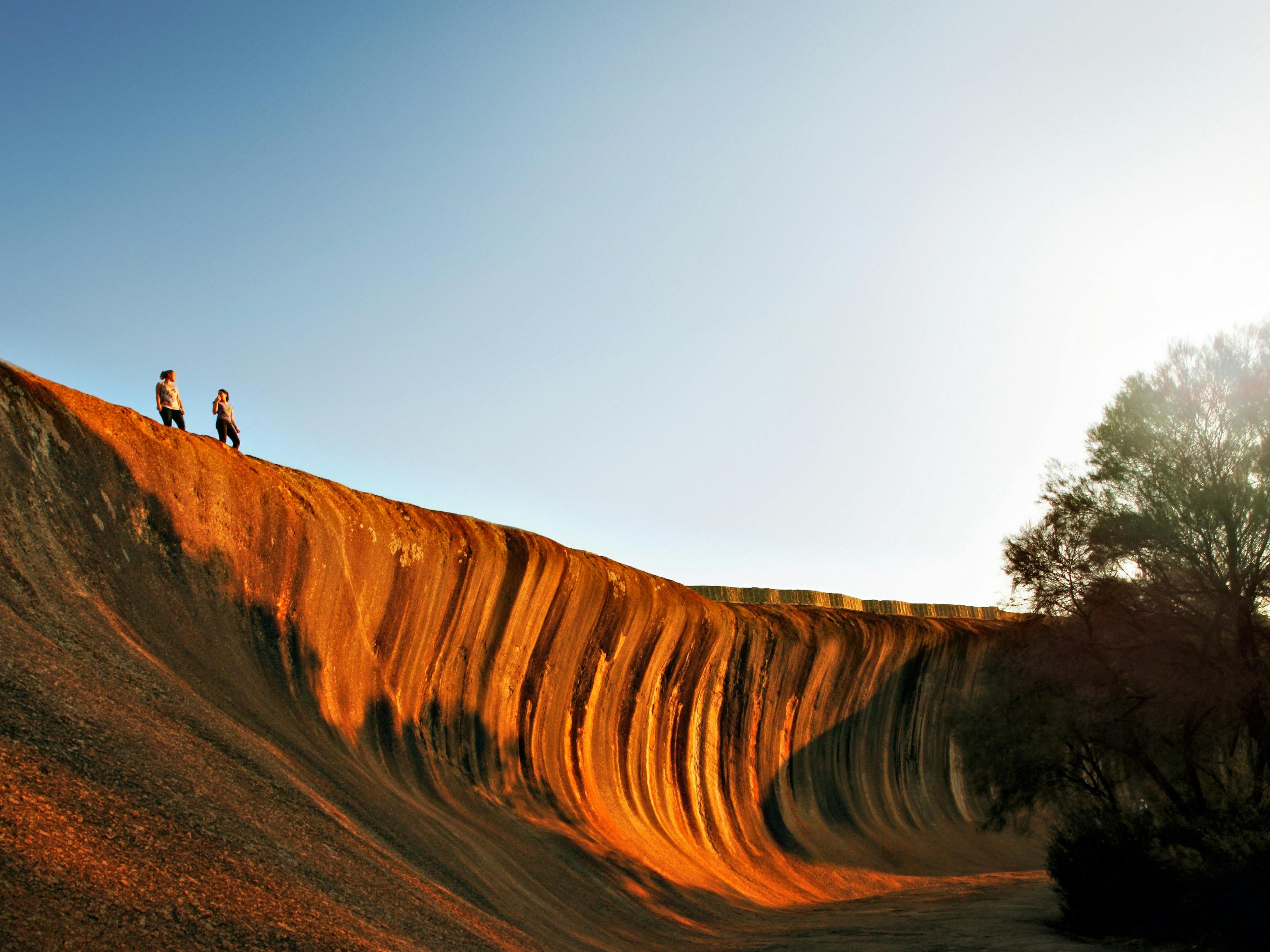 Golden Outback