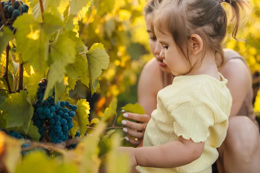 Barossa