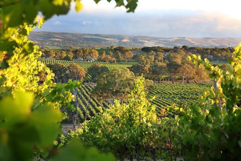 Fleurieu Peninsula