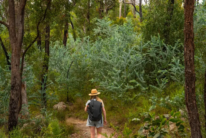 Southern Queensland Country