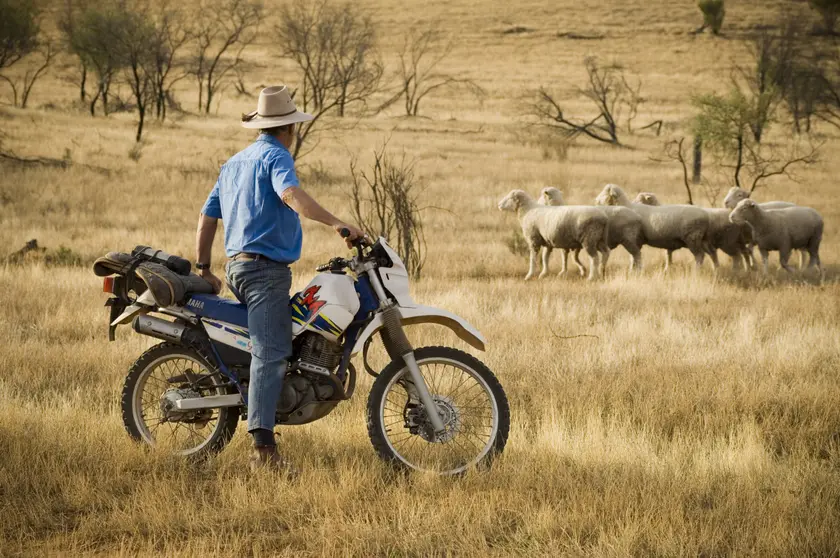 Roxby Downs