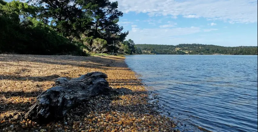Swan Point