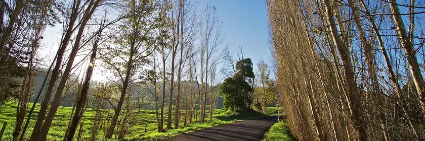 Mirboo North