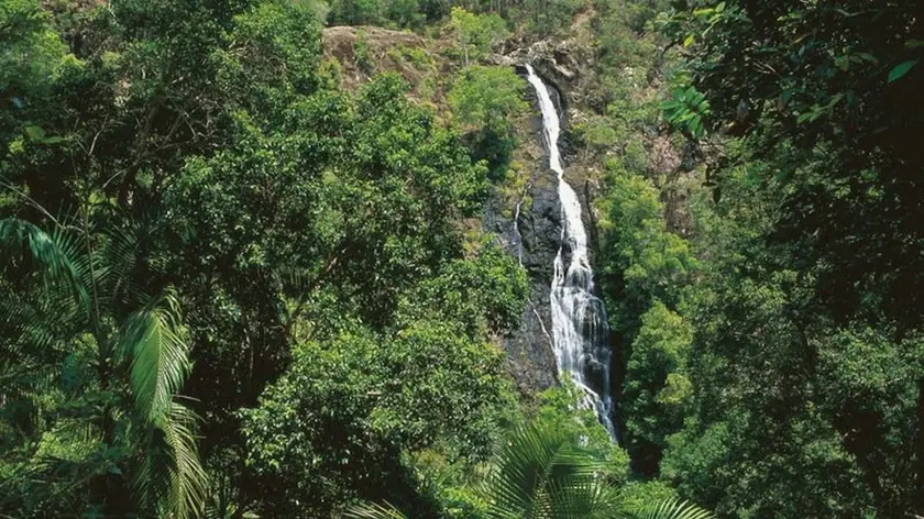 Mapleton