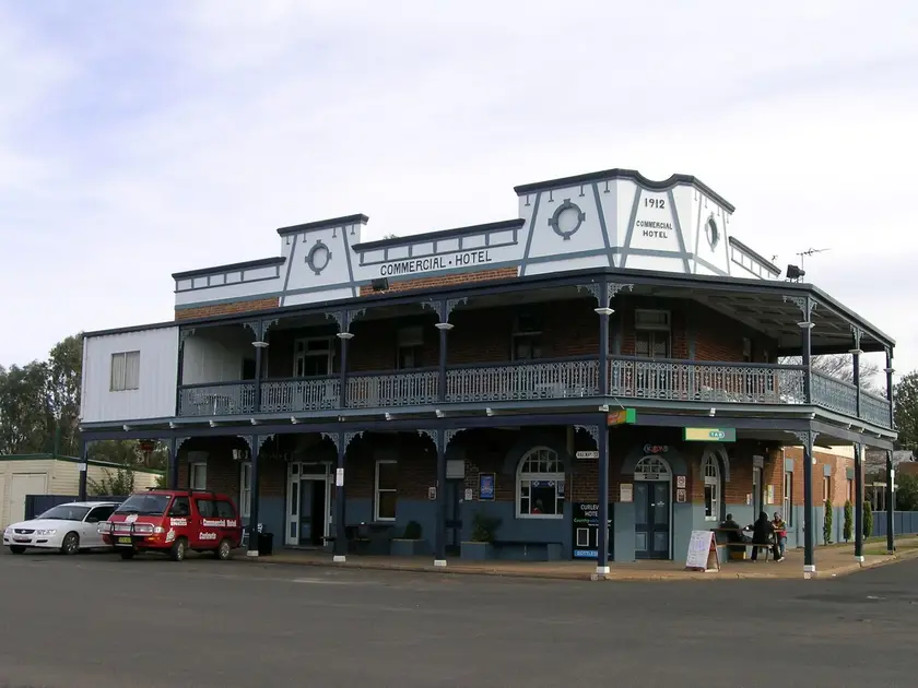Curlewis