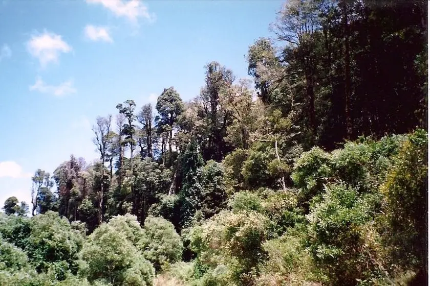 Hyland Park