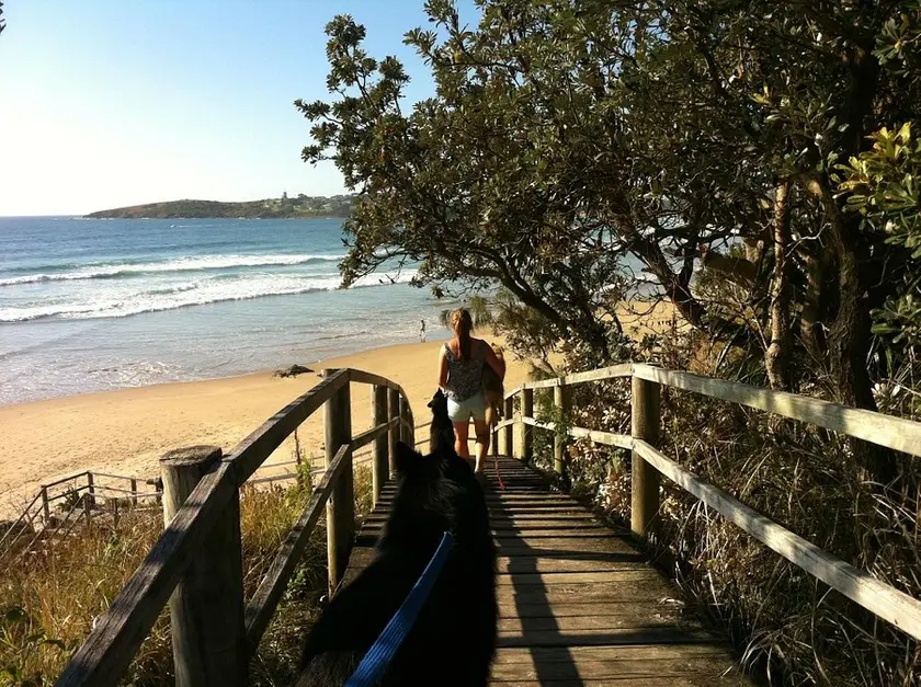 Safety Beach