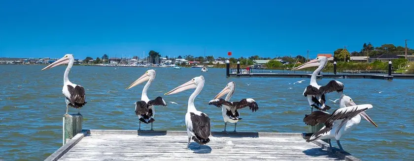 Goolwa