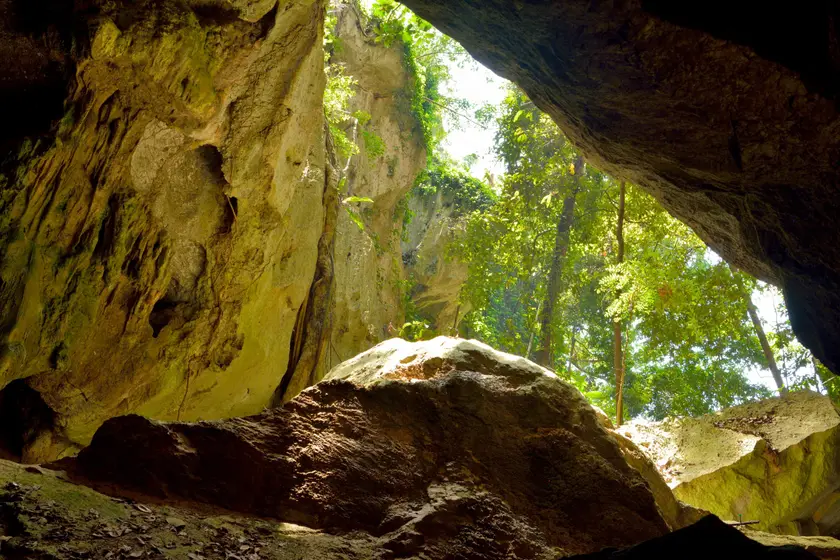 The Caves
