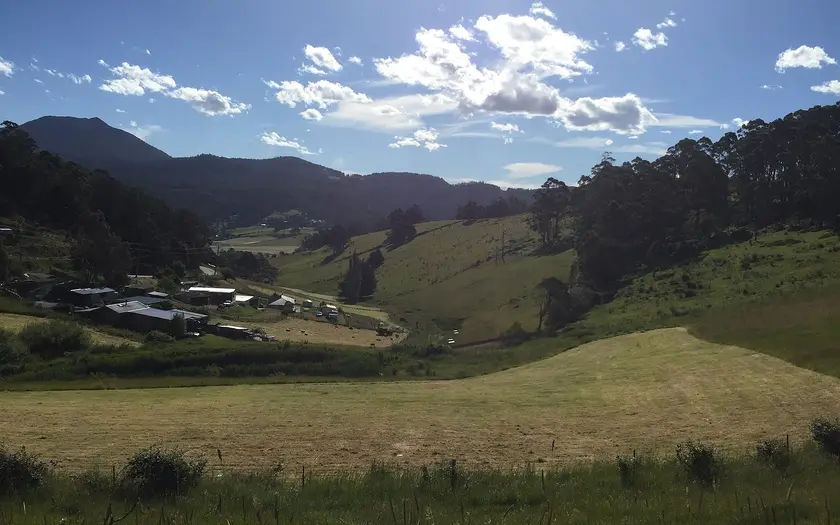 Collinsvale