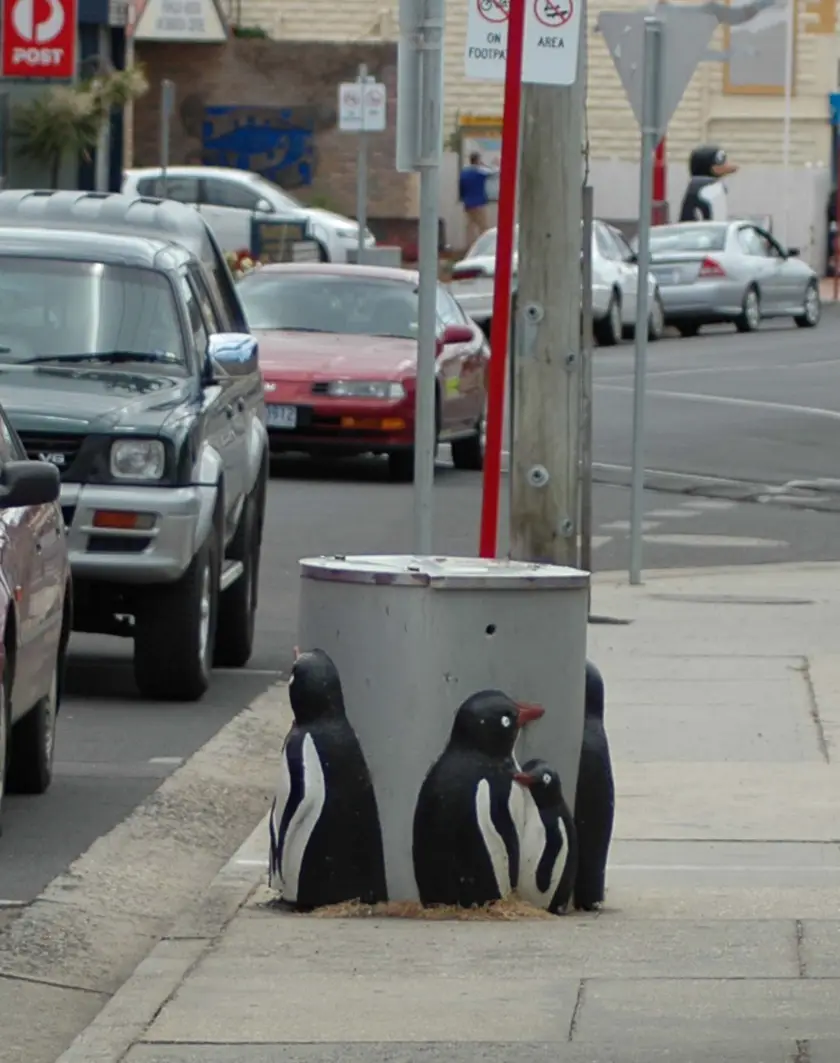 Penguin