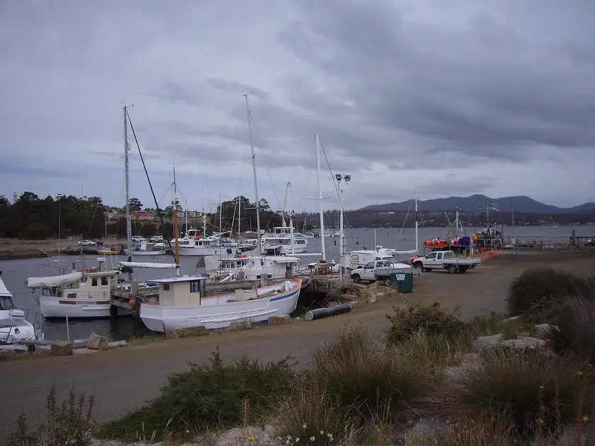 Triabunna