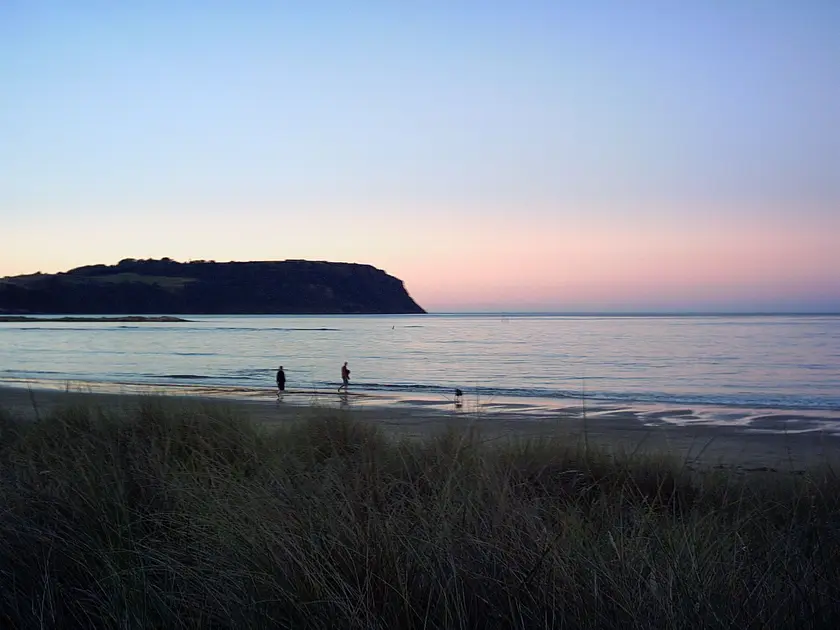 Wynyard