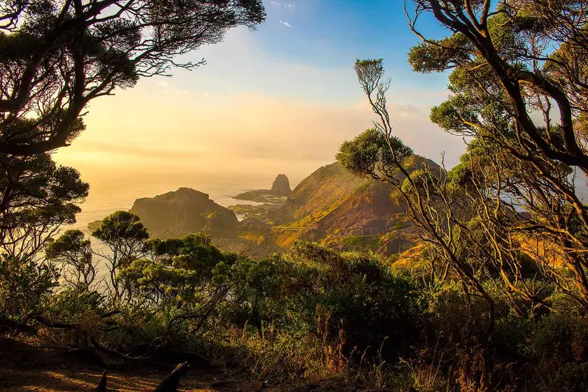 Cape Schanck