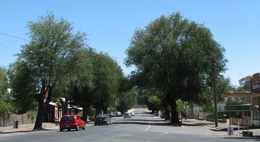 Newstead