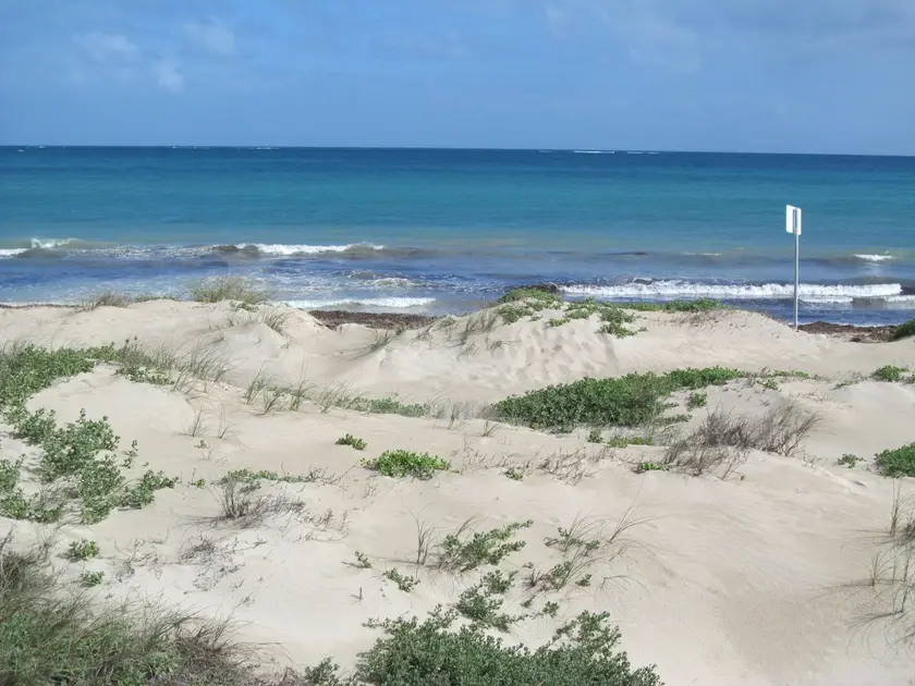 Cape Burney