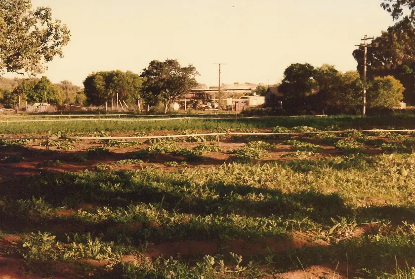 Kalumburu